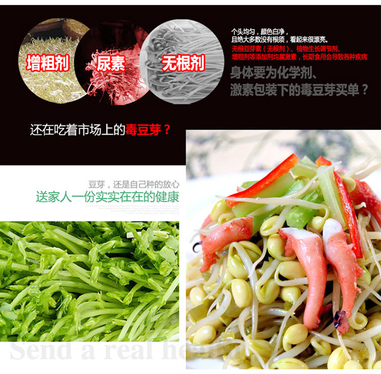 豆芽机3.jpg