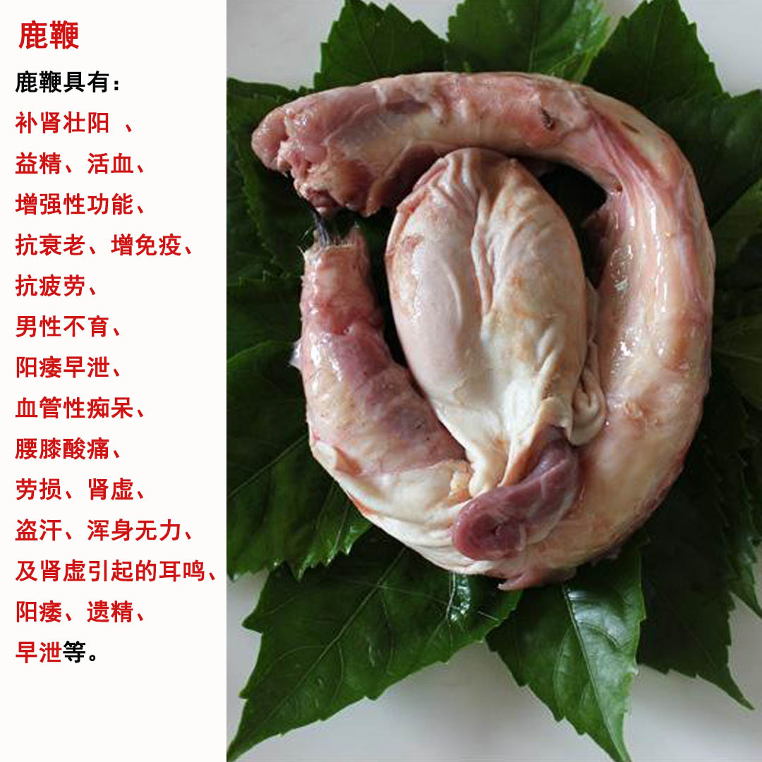 鹿鞭1.jpg